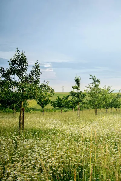 ESG-Kriterien in der Baubranche – Bedeutung und Umsetzung