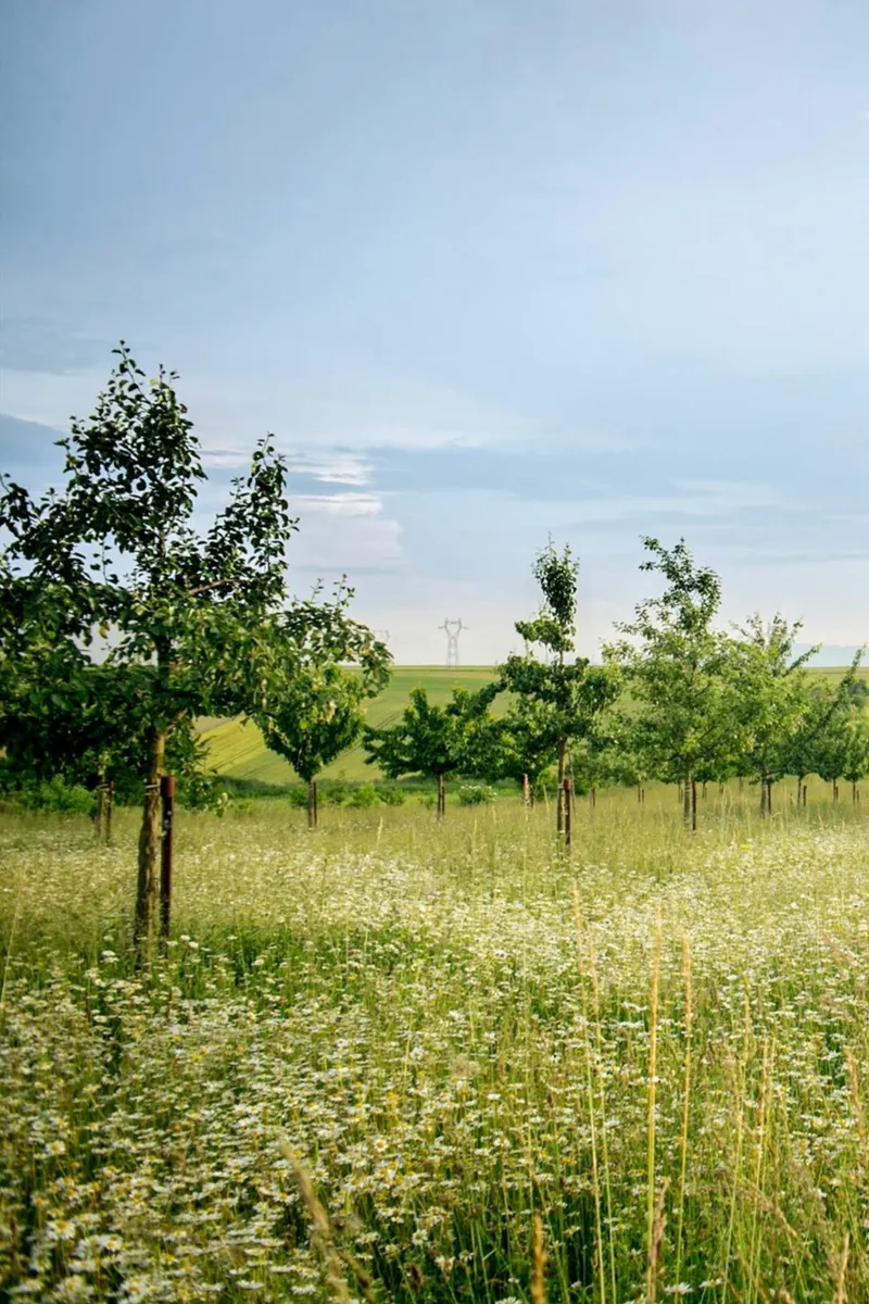 ESG-Kriterien in der Baubranche – Bedeutung und Umsetzung